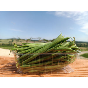 Haricot vert